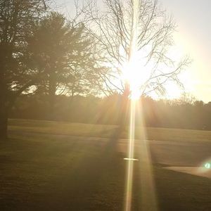 Meet your Posher, Alma